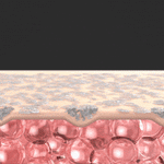 Centellian 24 Madeca Prime [English Ver.] Korean Beauty Device image 2