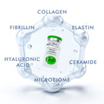 Madeca Derma Phyto Calming Microbiome Ampoule | Calm, Balance, Restore image 2